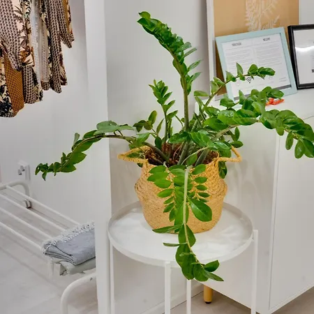 Lejlighed Excellent Location! In The Centre, Stylish 1 Room, Kitchen And Balcony *