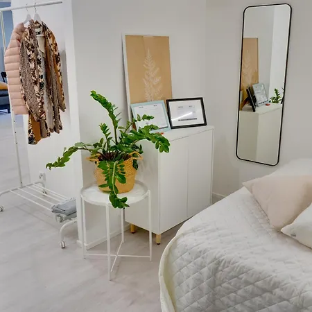 Excellent Location! In The Centre, Stylish 1 Room, Kitchen And Balcony